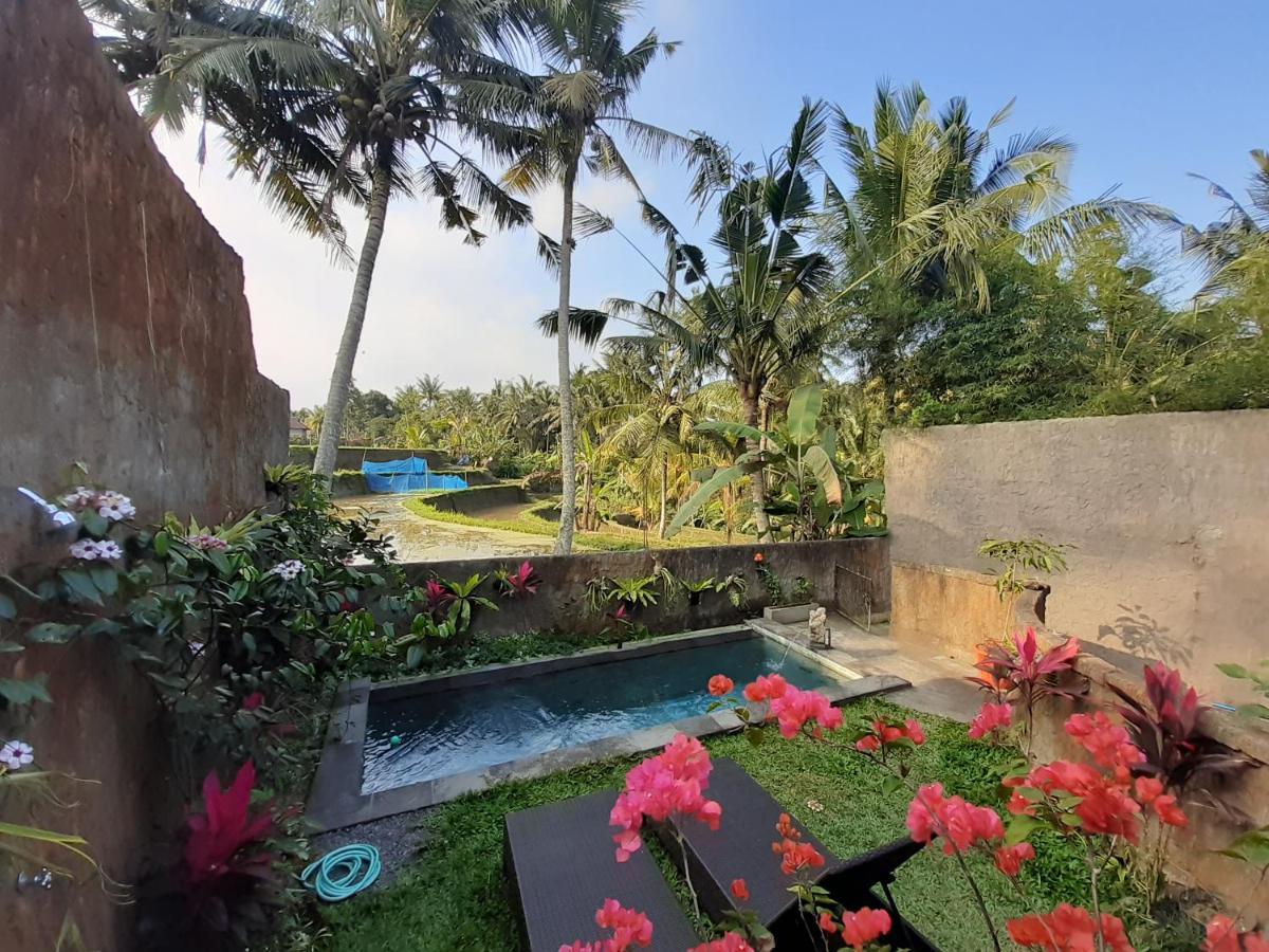 Hidden Point Villa Ubud Kültér fotó
