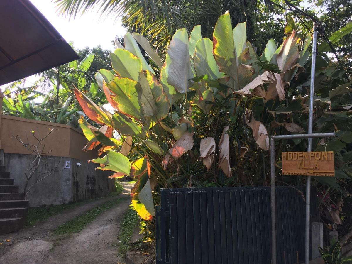 Hidden Point Villa Ubud Kültér fotó