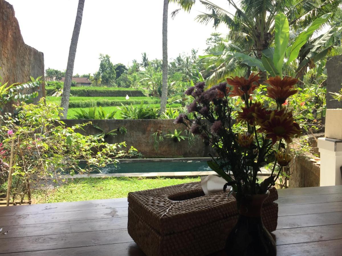 Hidden Point Villa Ubud Kültér fotó