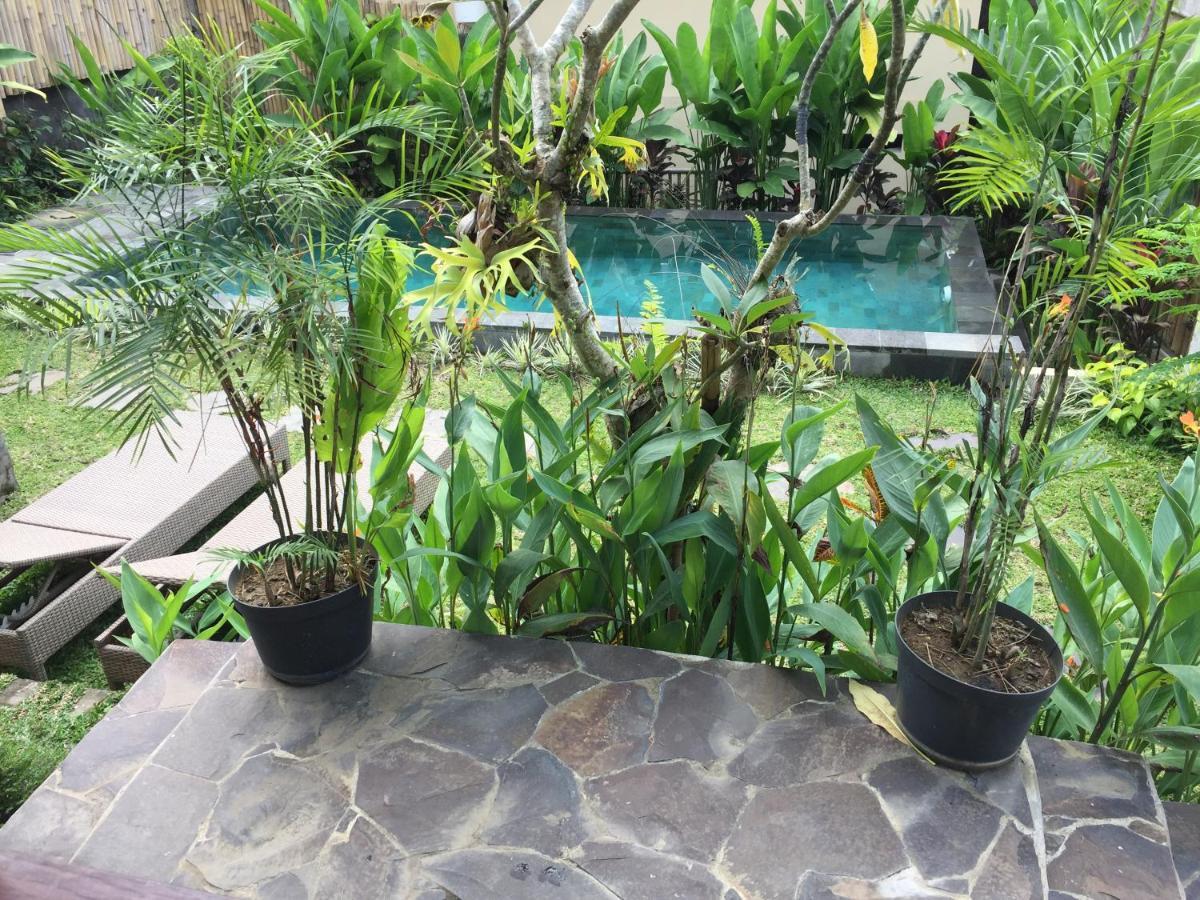 Hidden Point Villa Ubud Kültér fotó